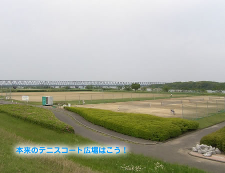 アラスカンマラミュート紫音 シオン のブログ 阿賀野川河川公園のテニスコートもbbq広場も水没