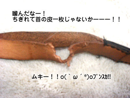 0303-3.jpg