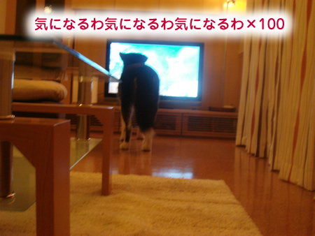 0318-2.jpg