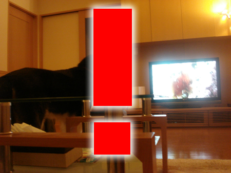 0320-8.jpg