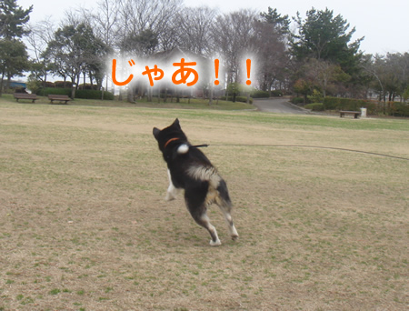 0321-4.jpg