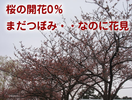 0411-1.jpg
