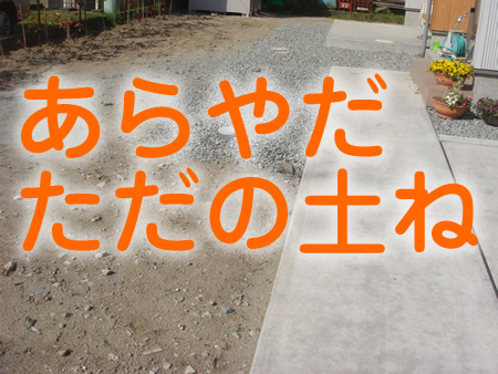0523-1.jpg