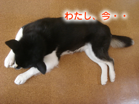 0523-4.jpg