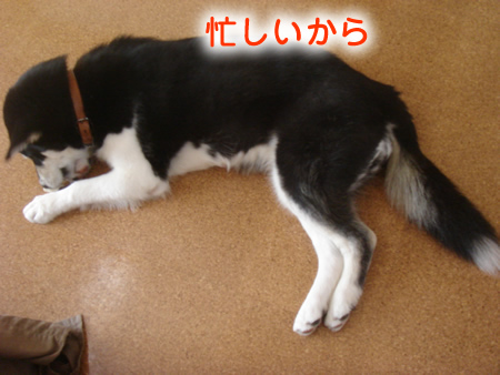0523-6.jpg