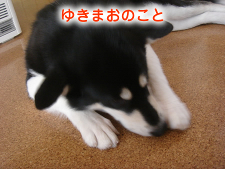 0523-7.jpg