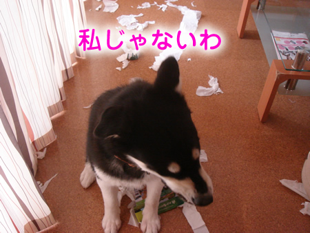 0527-3.jpg