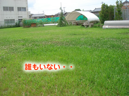 0809-1.jpg