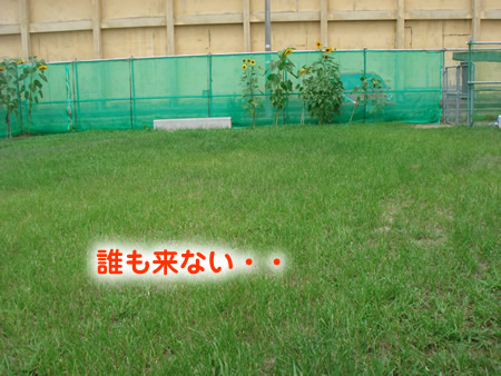 0809-2.jpg