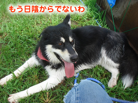 0809-7.jpg