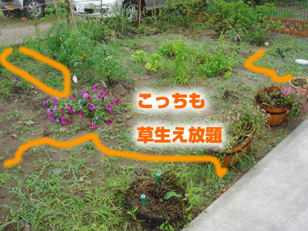0814-4.jpg