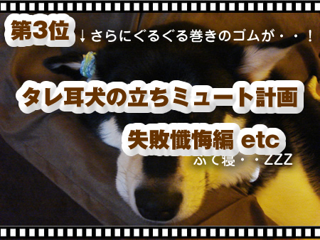 2011アクセスランキング3.jpg