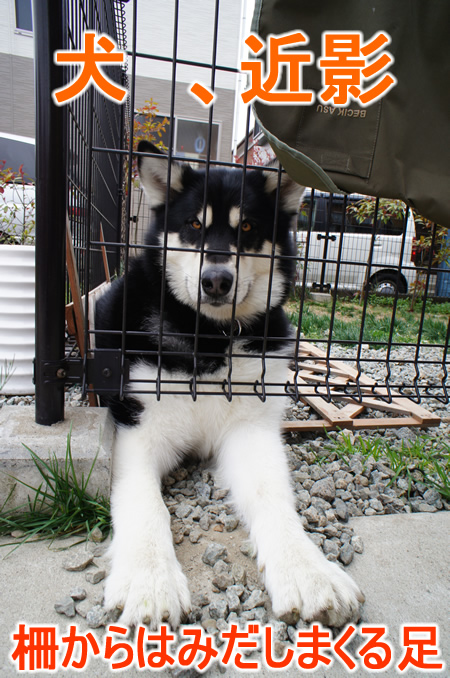 20120502.jpg
