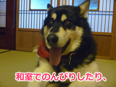 20130220国安19.jpg