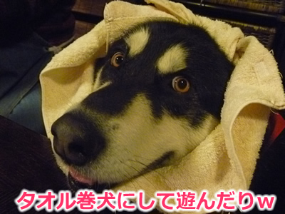 20130220国安21.jpg