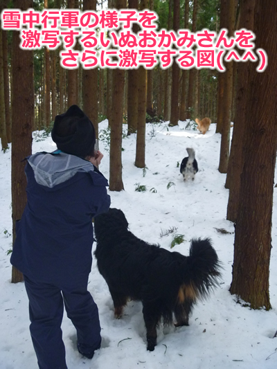 20130220国安23.jpg