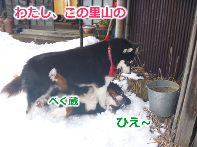 20130220国安27.jpg
