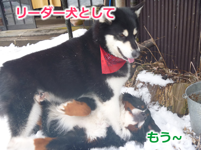 20130220国安28.jpg