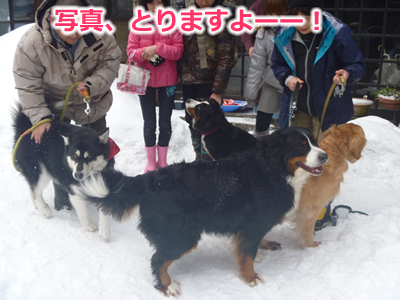 20130220国安30.jpg