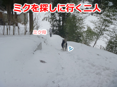 20130220国安33.jpg
