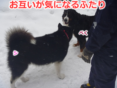20130220国安34.jpg