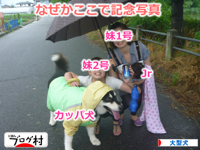 2013カッパ犬15.jpg