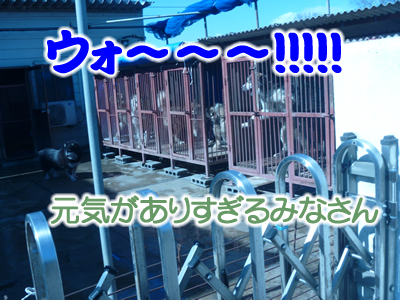 2013パーク2.jpg
