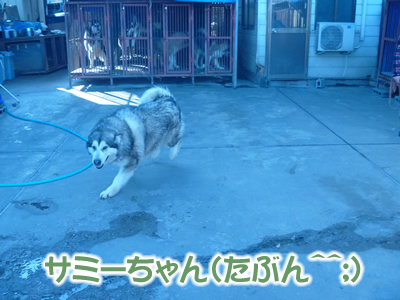 2013パーク3.jpg