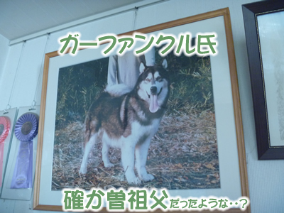2013パーク4.jpg