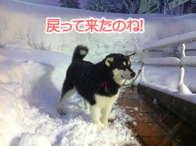 2013パーク6.jpg