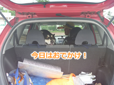 2013国安7月01.jpg
