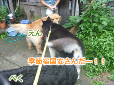 2013国安7月05.jpg