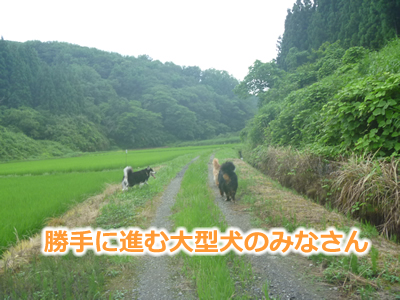 2013国安7月09.jpg