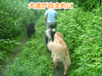 2013国安7月13.jpg