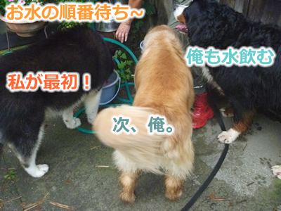 2013国安7月16.jpg