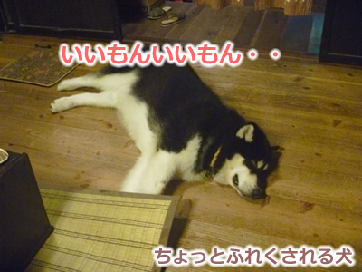 2013国安7月19.jpg