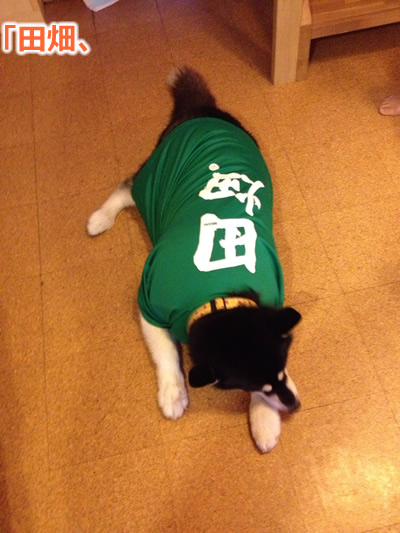 2014放置07.jpg