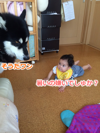 2014暑い04.jpg