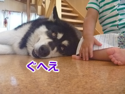 20150703ぐへえ03.jpg