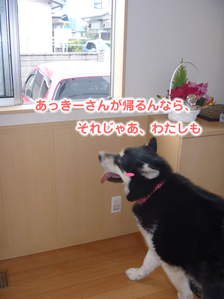 あっきー04.jpg