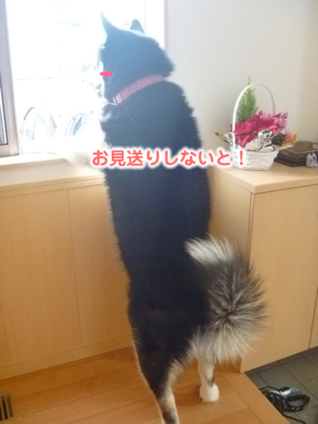 あっきー05.jpg