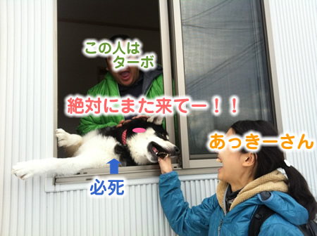 あっきー07.jpg