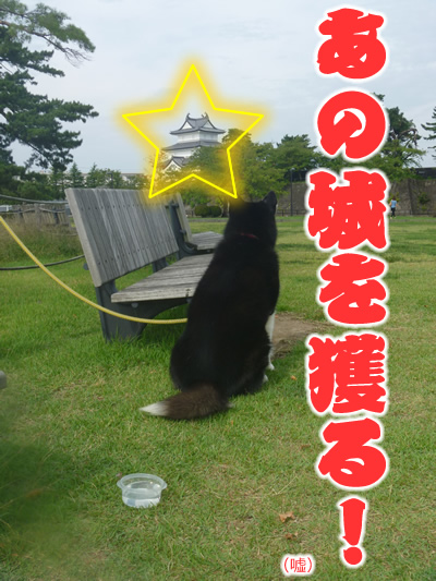 あの城01.jpg