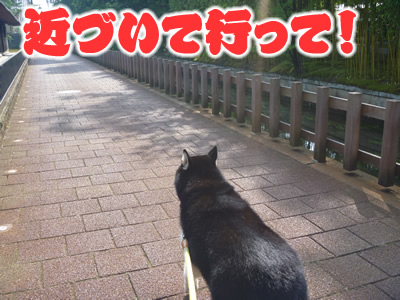 あの城02.jpg