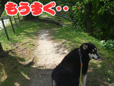 あの城03.jpg