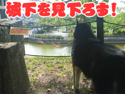 あの城04.jpg