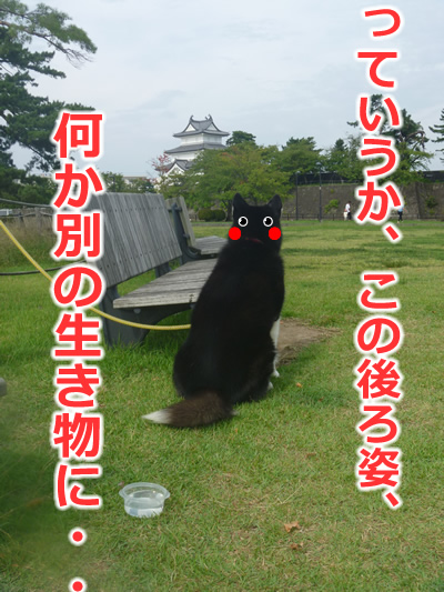 あの城07.jpg