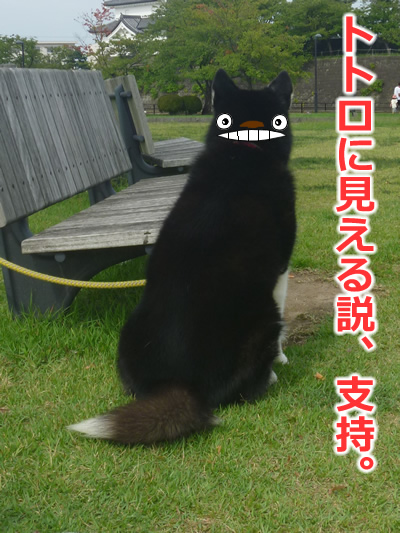あの城08.jpg