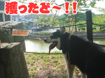 あの城09.jpg