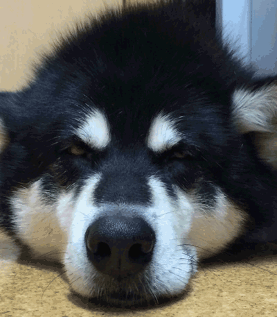 おにぎり100文字入り2.gif